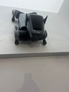 Mobile 